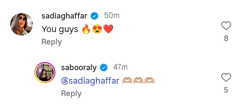 سبور ایلی اور علی انصاری آنے والا ڈرامہ ٹیزر اب باہر