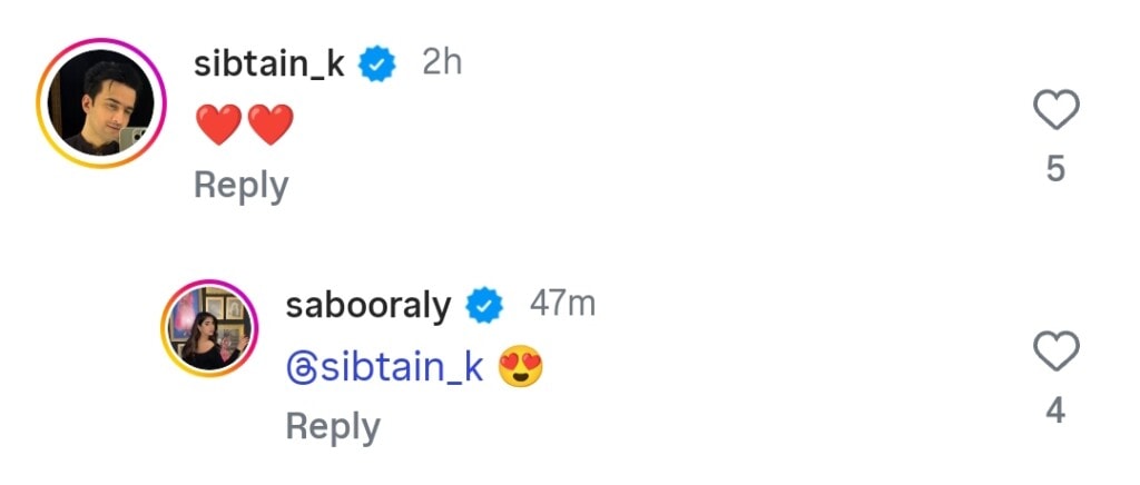 سبور ایلی اور علی انصاری آنے والا ڈرامہ ٹیزر اب باہر