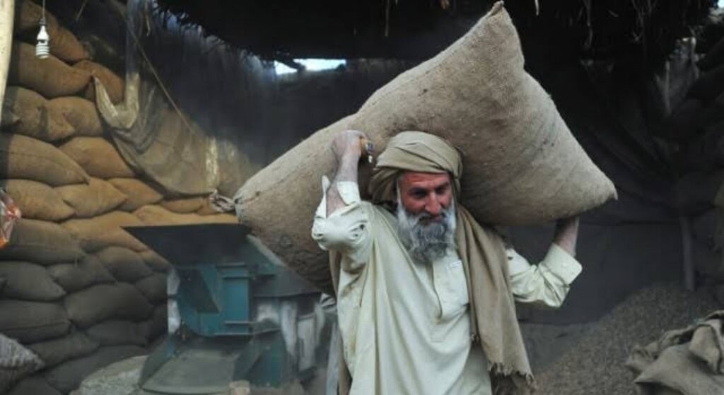 روٹی فاتح کی حیثیت سے مردوں کی جدوجہد کے بارے میں فریہ الٹاف روٹی فاتح کی حیثیت سے مردوں کی جدوجہد کے بارے میں فریہ الٹاف