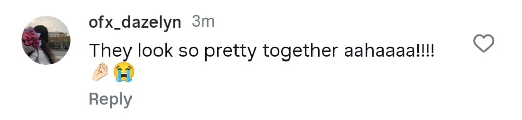 شائقین چاہتے ہیں شائقین چاہتے ہیں