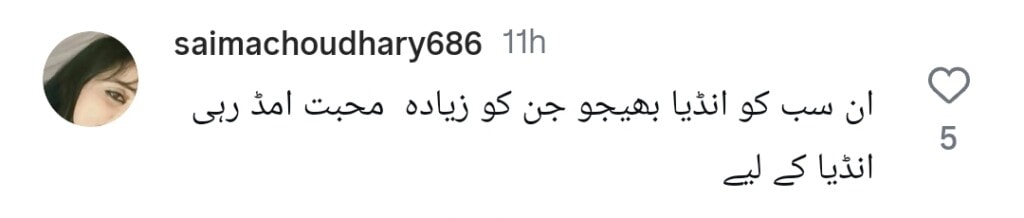 میشی خان نے ہندوستانی پرچم لہراتے ہوئے طلہ انجم کی وضاحت کی مذمت کی ہے