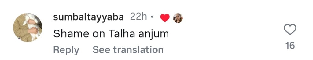 میشی خان نے ہندوستانی پرچم لہراتے ہوئے طلہ انجم کی وضاحت کی مذمت کی ہے