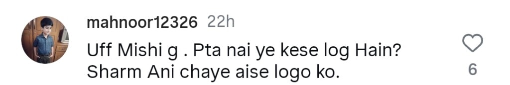 میشی خان نے ہندوستانی پرچم لہراتے ہوئے طلہ انجم کی وضاحت کی مذمت کی ہے