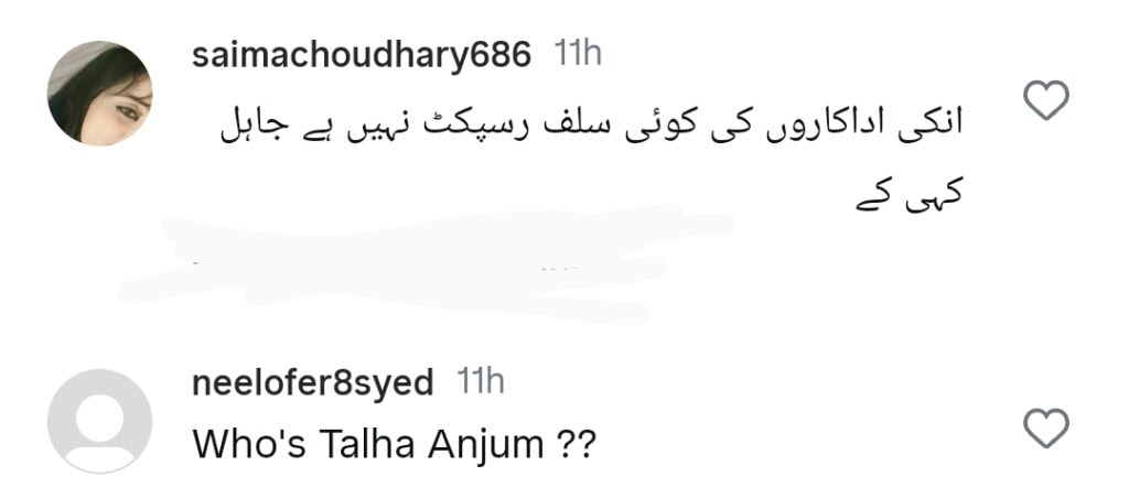 میشی خان نے ہندوستانی پرچم لہراتے ہوئے طلہ انجم کی وضاحت کی مذمت کی ہے