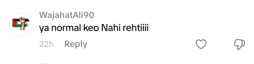 ریحام رافیق نے چکنی چیمیلی پر مزاحیہ رقص کی چالوں کے لئے ٹرول کیا