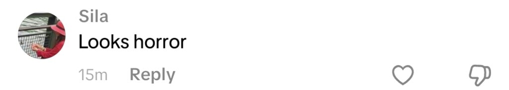 سبا قمر اور علی انصاری اسٹارر ماما ٹیزر