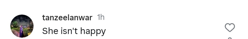 IQRAR الحسن اور اروسا خان کی پہلی بیوی کے ساتھ سالگرہ کی تقریب نے تنقید کی