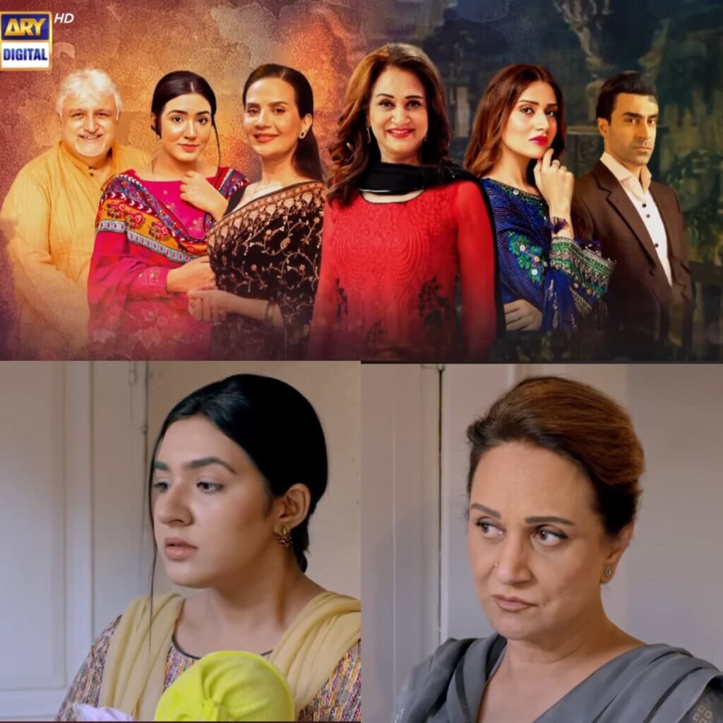 بشرا انصاری کے طرز عمل اور منفی کردار ادا کرنے پر شیر فیم شیزا خان بشرا انصاری کے طرز عمل اور منفی کردار ادا کرنے پر شیر فیم شیزا خان