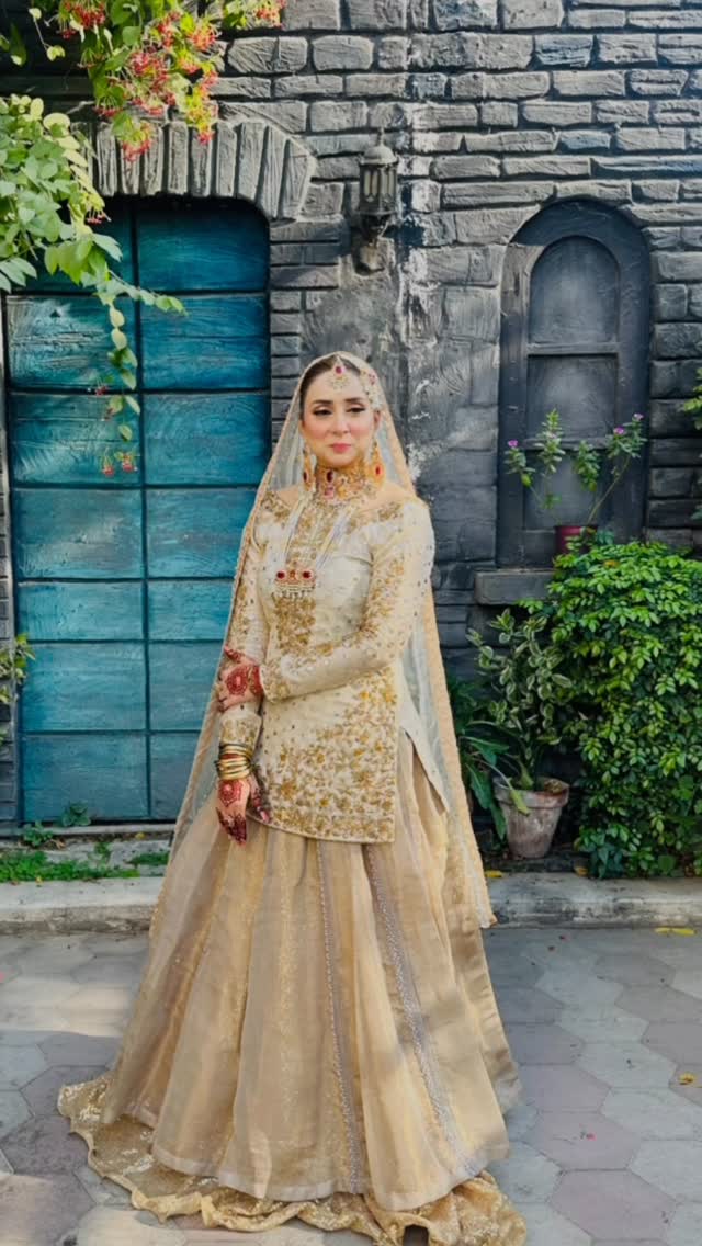 جو ڈاکٹر نبیہا علی خان کا شوہر ہے