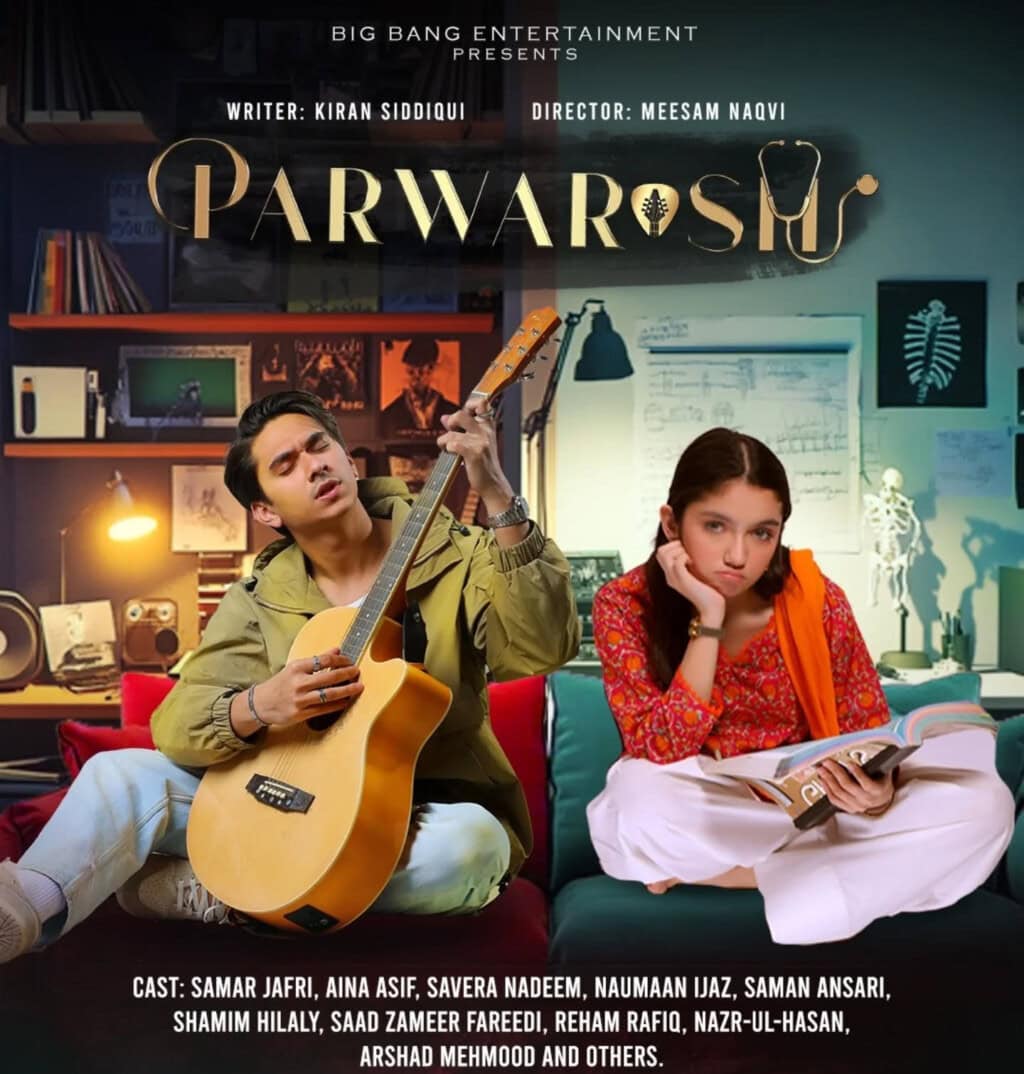 2025 کے 10 بہترین پاکستانی ڈرامے