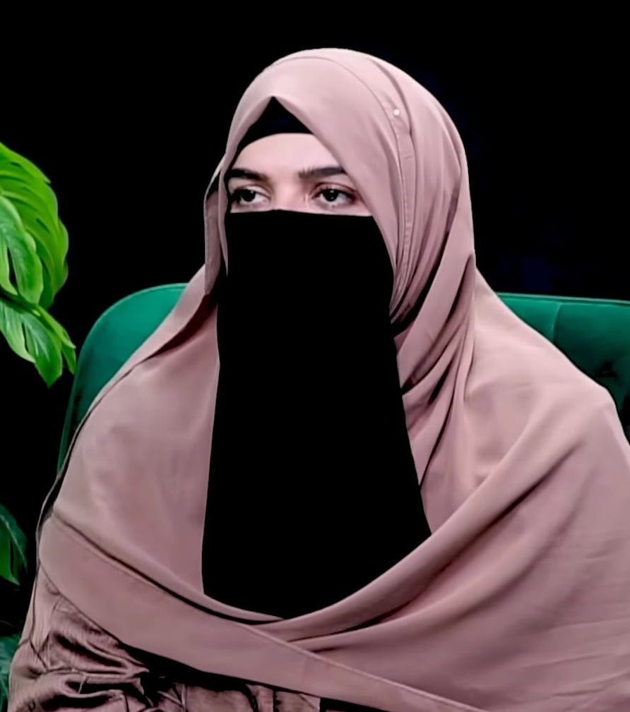 سارہ چوہدری انٹرنیٹ پر پرانے ہائی جیبلیس مواد پر بات کرتی ہے