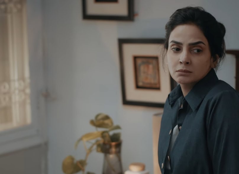 صبا قمر کا کیس نمبر 9 کوئی میک اپ ظاہری شکل اور بیان سے سوالات اٹھاتے ہیں