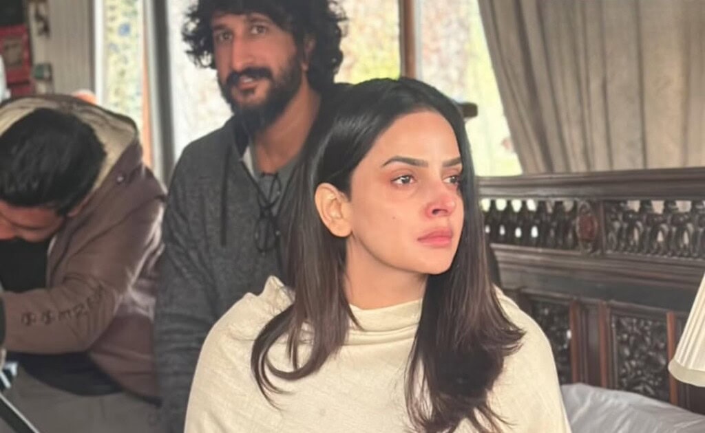 صبا قمر کا کیس نمبر 9 کوئی میک اپ ظاہری شکل اور بیان سے سوالات اٹھاتے ہیں