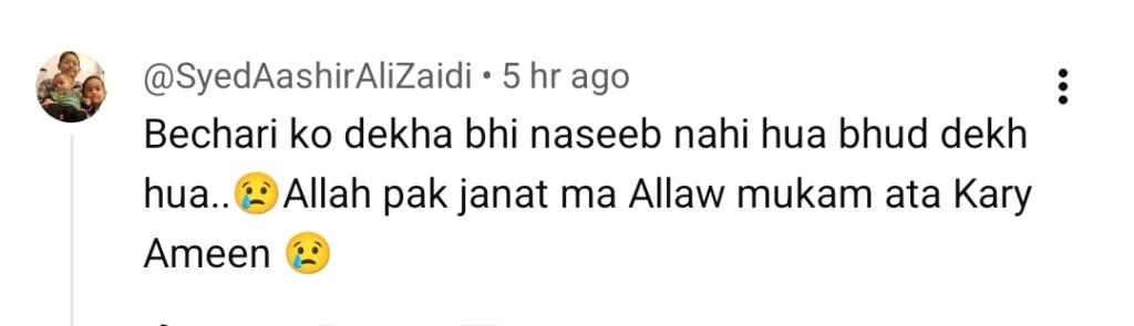 آخری ولاگ نے اسپرکس بحث سے پیری مریم کی وائرل ریل