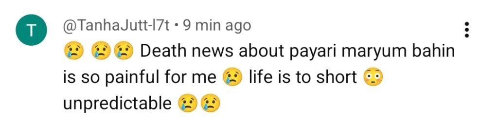 آخری ولاگ نے اسپرکس بحث سے پیری مریم کی وائرل ریل