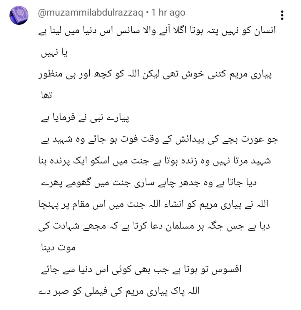 آخری ولاگ نے اسپرکس بحث سے پیری مریم کی وائرل ریل