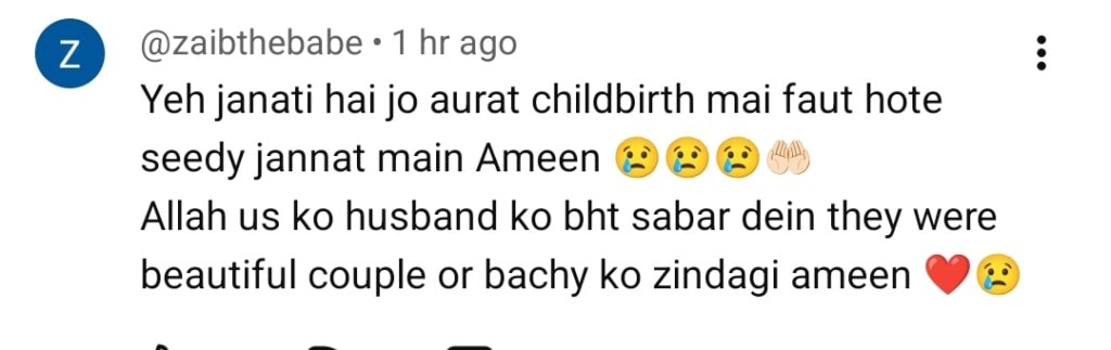 آخری ولاگ نے اسپرکس بحث سے پیری مریم کی وائرل ریل