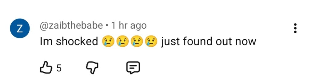 آخری ولاگ نے اسپرکس بحث سے پیری مریم کی وائرل ریل