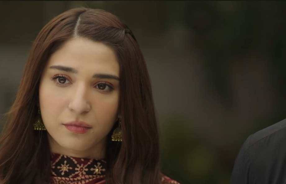 بریانی آخری واقعہ عوامی رد عمل بریانی آخری واقعہ عوامی رد عمل