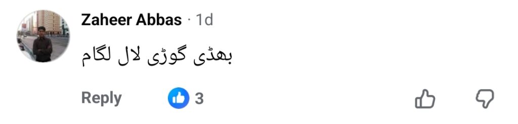 بشریٰ انصاری کو اوور دی ٹاپ ٹین ایج حرکات پر تنقید کا نشانہ بنایا گیا۔