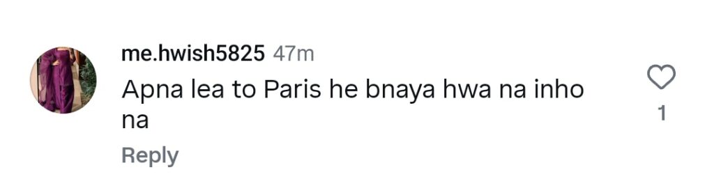 کراچی کا پیرس سے موازنہ کرنے پر شرمیلا فاروقی کو شدید ردعمل کا سامنا کرنا پڑا