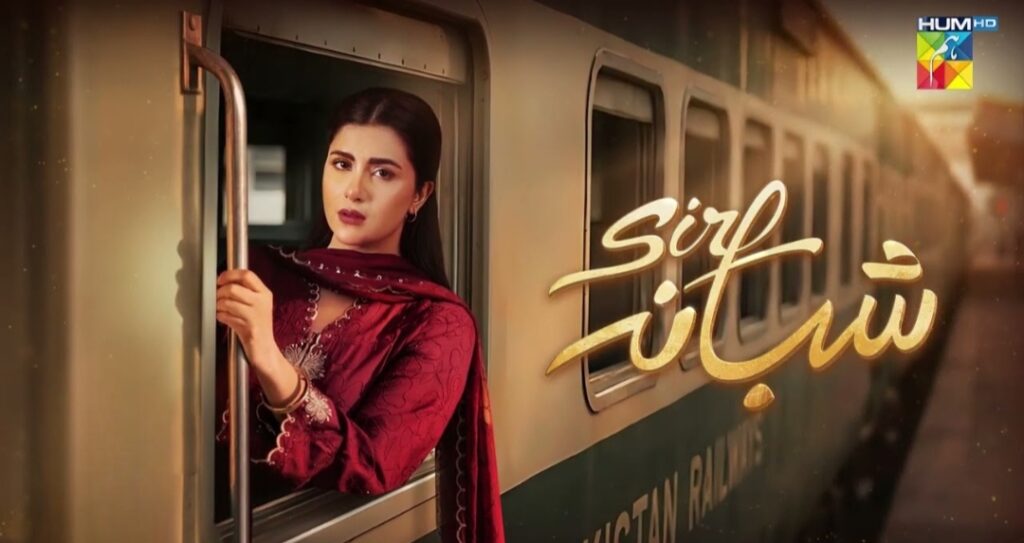 ٹاپ 10 سب سے زیادہ دیکھے جانے والے پاکستانی ڈرامے۔