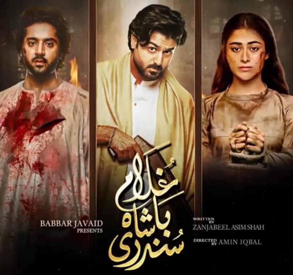 غلام باشا سندری آخری قسط – ناظرین اختتام کا فیصلہ کرتے ہیں۔