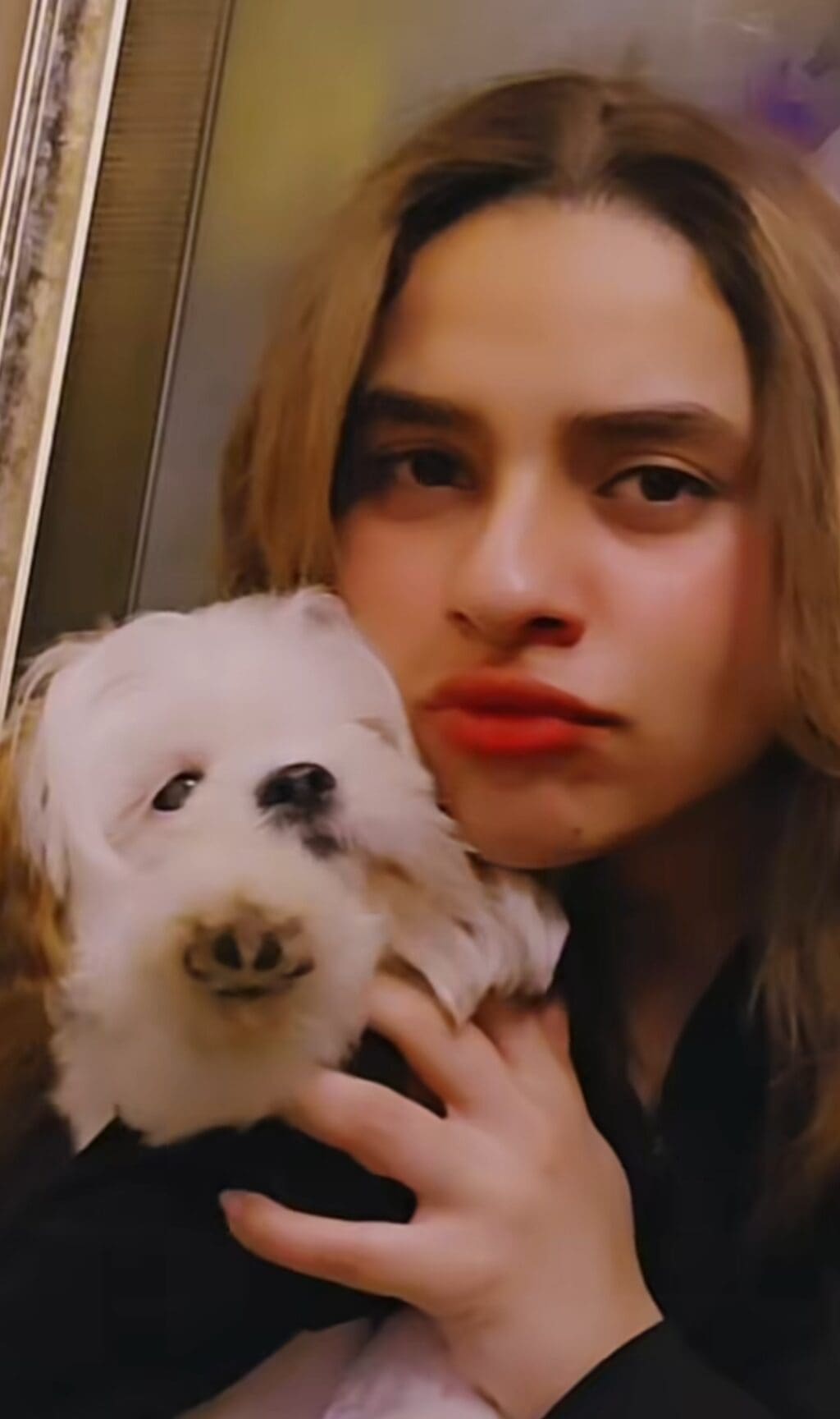نادیہ خان نے بیٹی علیزہ کی سالگرہ پر خوبصورت ریل شیئر کی۔