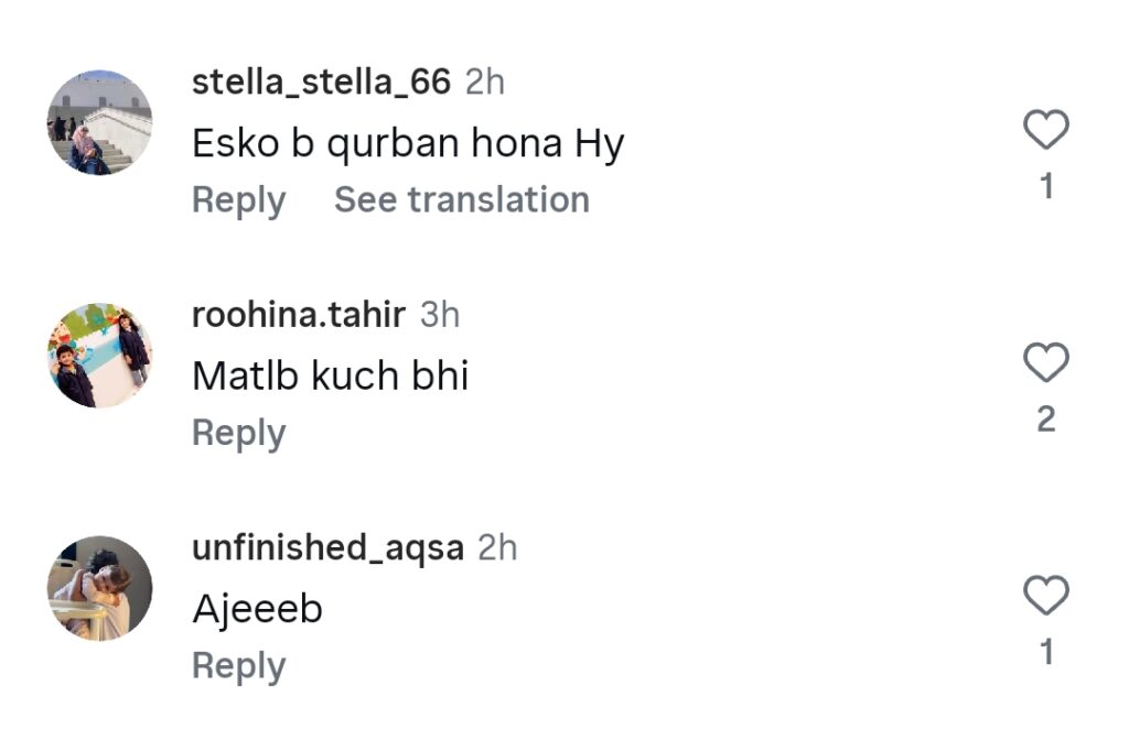 Taana Baana's Meat Inspired Eid Ul Adha Collection کو ردعمل کا سامنا ہے۔
