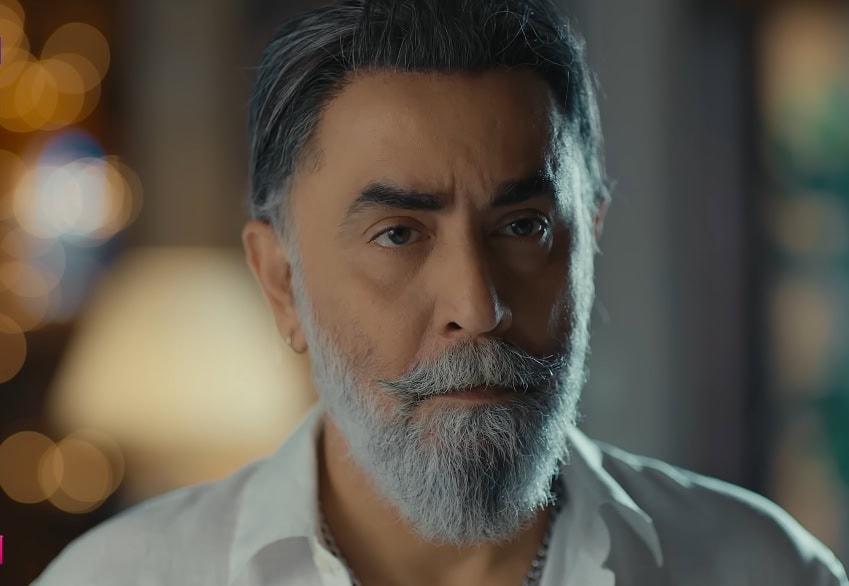 مرینہ خان کی زنجابیل عاصم شاہ کے حمیراہی اسکرپٹ پر تنقید