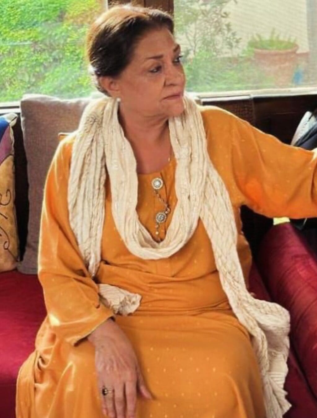 ثمینہ احمد پاکستانی ڈراموں کی کہانیوں کا دفاع کرتی ہیں۔