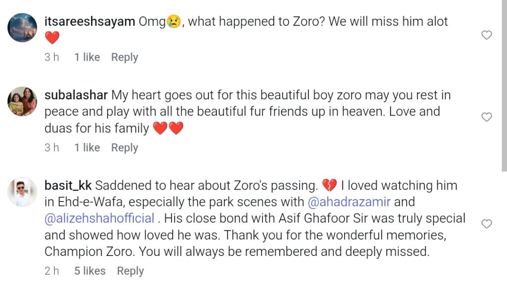 عہد وفا کی محبوب کاسٹ ممبر انتقال کرگئے۔ عہد وفا کی محبوب کاسٹ ممبر انتقال کرگئے۔