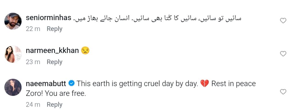 عہد وفا کی محبوب کاسٹ ممبر انتقال کرگئے۔ عہد وفا کی محبوب کاسٹ ممبر انتقال کرگئے۔