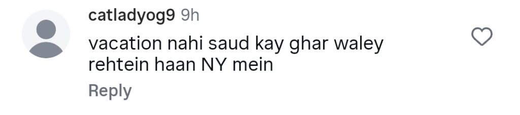 جویریہ سعود کا خاندانی دورہ امریکہ پر تنقید جویریہ سعود کا خاندانی دورہ امریکہ پر تنقید