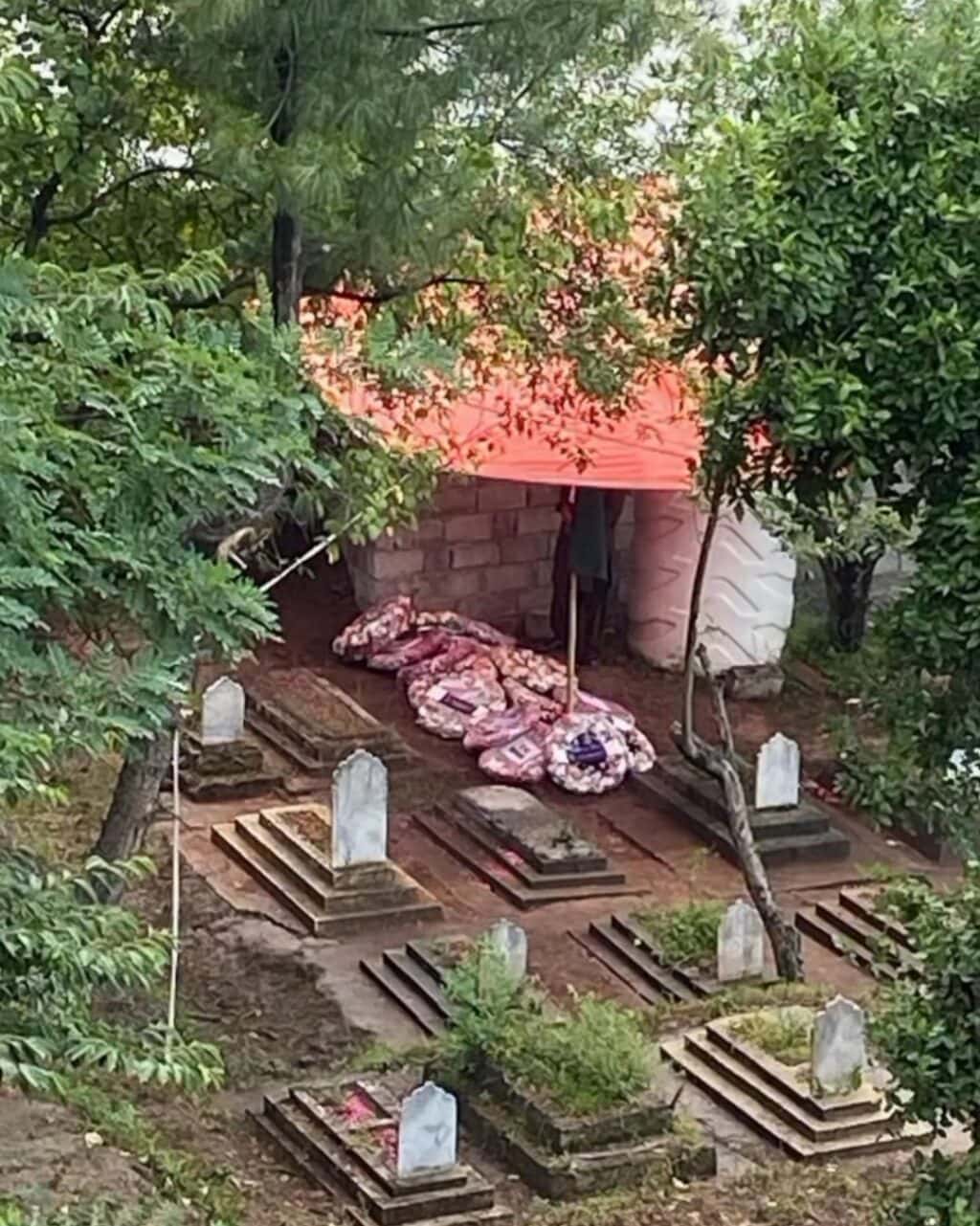 لیفٹیننٹ طحہ عباسی شہید کی بہن کی دل دہلا دینے والی یادیں مداحوں کو ہلا کر رکھ دیتی ہیں۔
