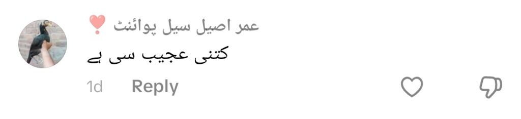 زینب فیصل کو بولڈ اور ٹیکی لباس پر ردعمل کا سامنا کرنا پڑا
