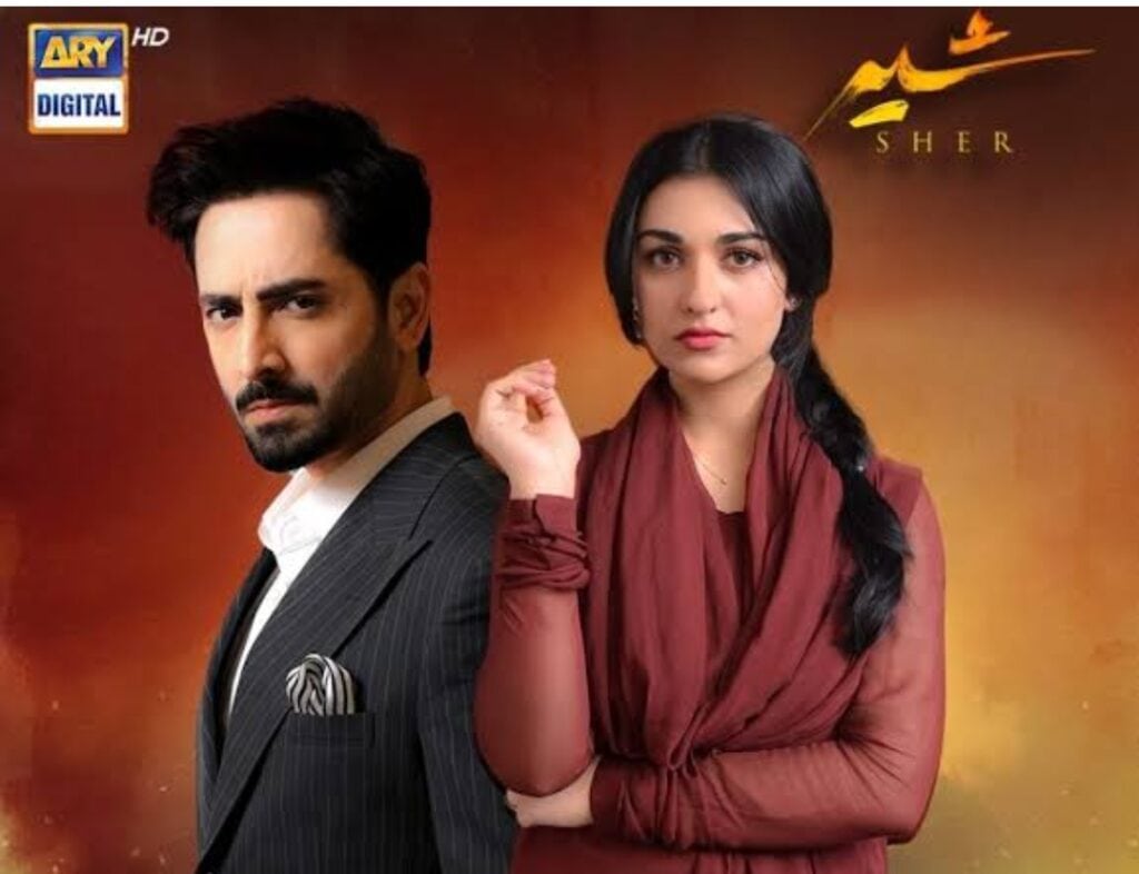 آریز احمد اور آغا علی سنیما میں چلنے والے ڈراموں کی آخری قسط پر