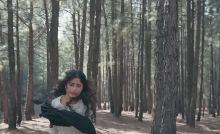 زنجیریں قسط 18 - یہ کیوں نشر نہیں ہوا۔