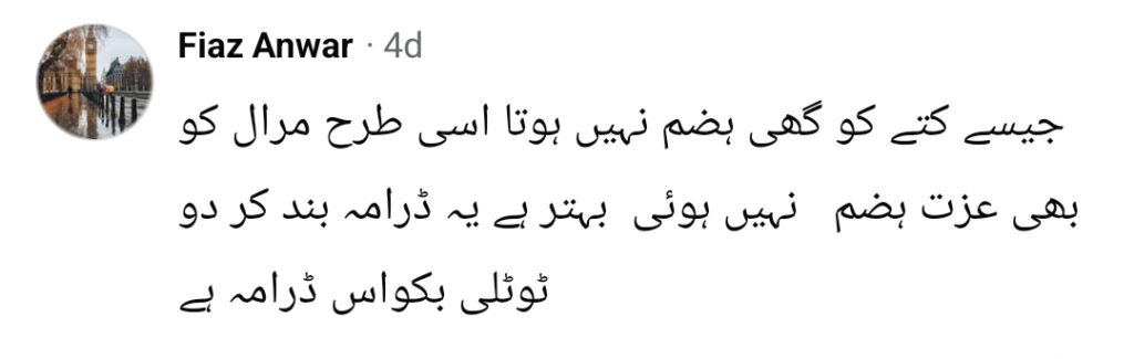 شیدائی کی کہانی اور میرال کے کردار پر شدید تنقید