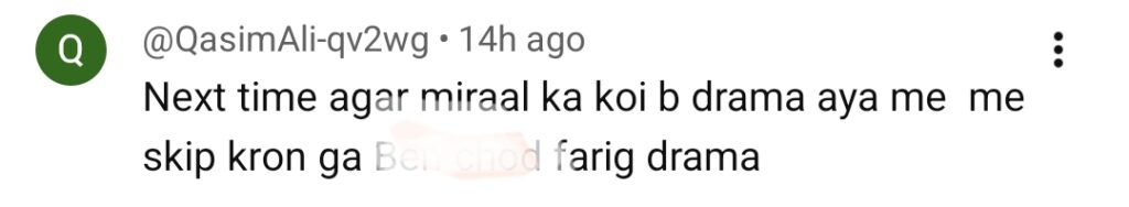 شیدائی کی کہانی اور میرال کے کردار پر شدید تنقید